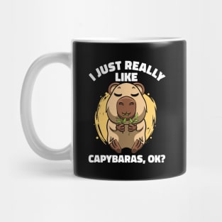 I Just Really Like Capybaras Lover Rodent Zoo Cute Capybara Mug